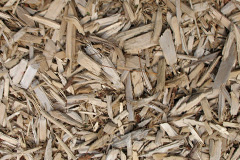 biomass boilers Trefonen